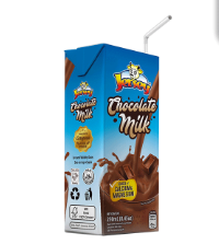 Jersey Chocolate Milk 250ml
